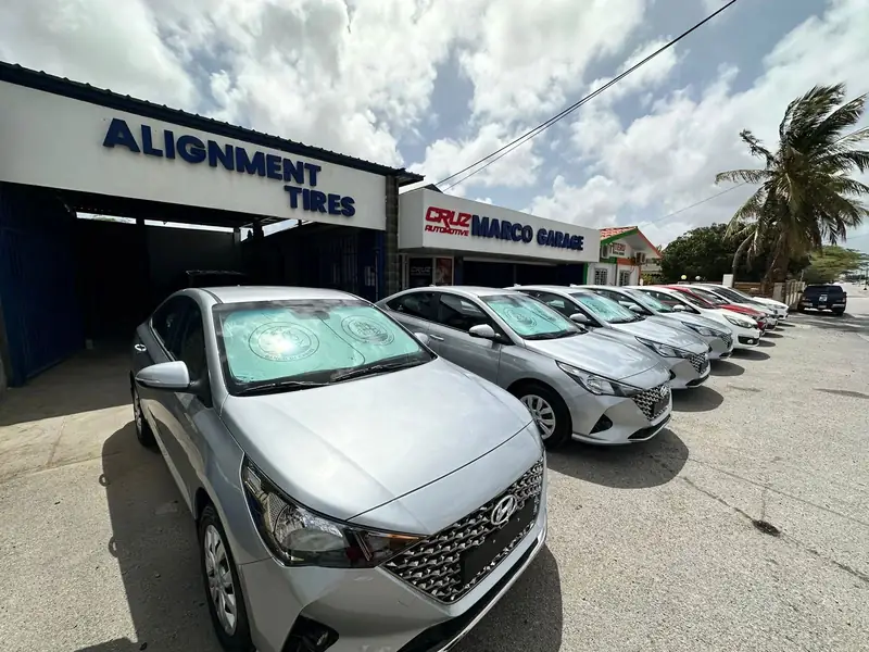 A row of TRAC's cars, parked and ready to go