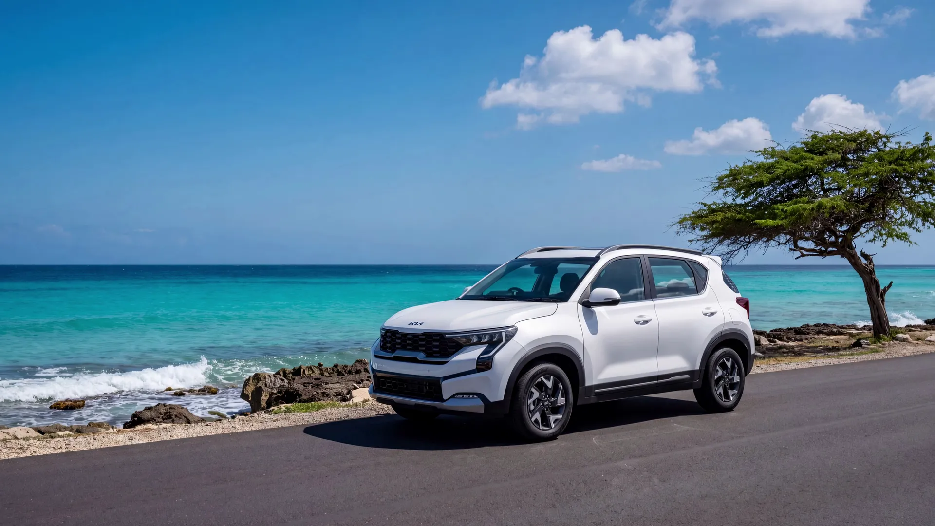 A white Kia Sonet parked on a paved coastal road in Aruba, beside turquoise sea, surf on dark coral rocks and a wind-bent divi-divi tree