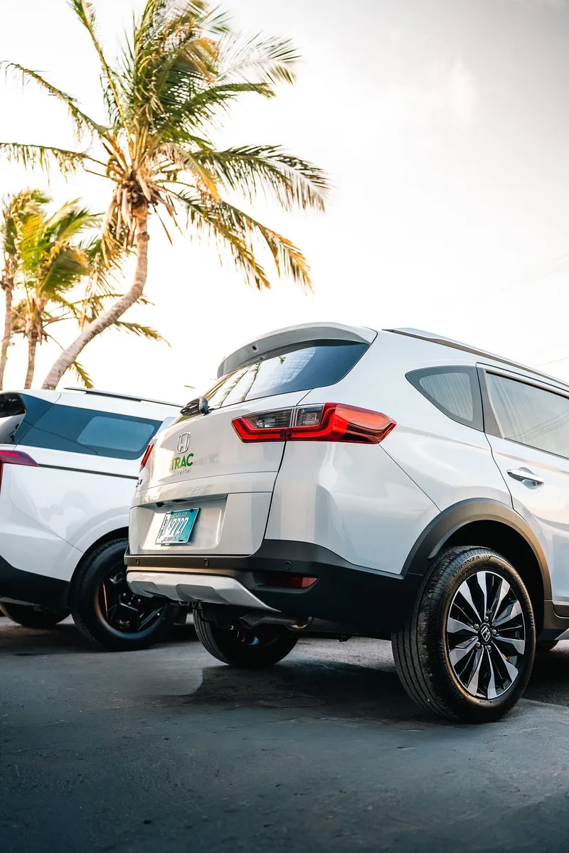 La parte trasera del Honda BR-V de TRAC bajo las palmeras