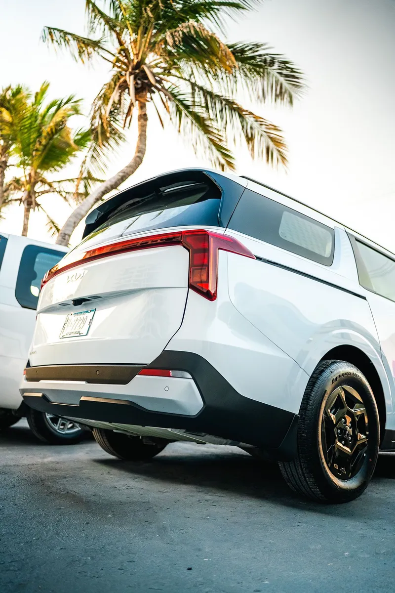 The back of TRAC's Kia Carnival under palm trees